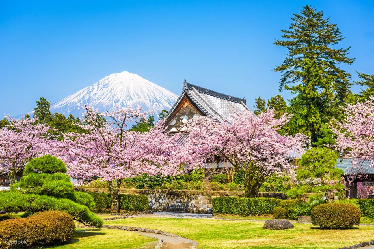 NAGOYA - YAMANASHI - FUJI