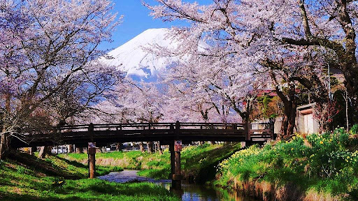 YAMANASHI - TOKYO